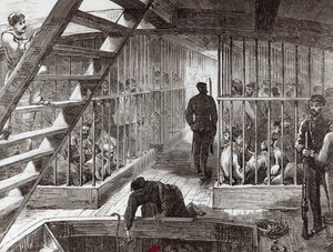Prisonniers en cage en route pour Botany Bay